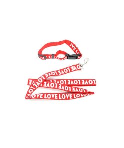 Λουρί και κολάρο σκύλου - Dog colar and leash