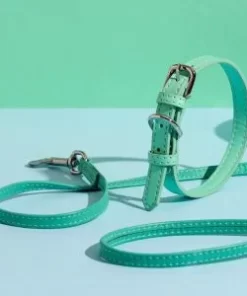 Λουριά / Κολάρα / Οδηγοί