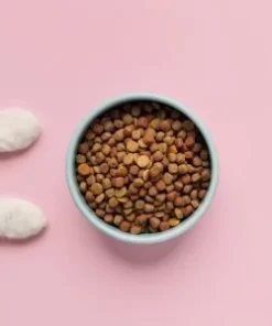 Μπολ Φαγητού & Νερού