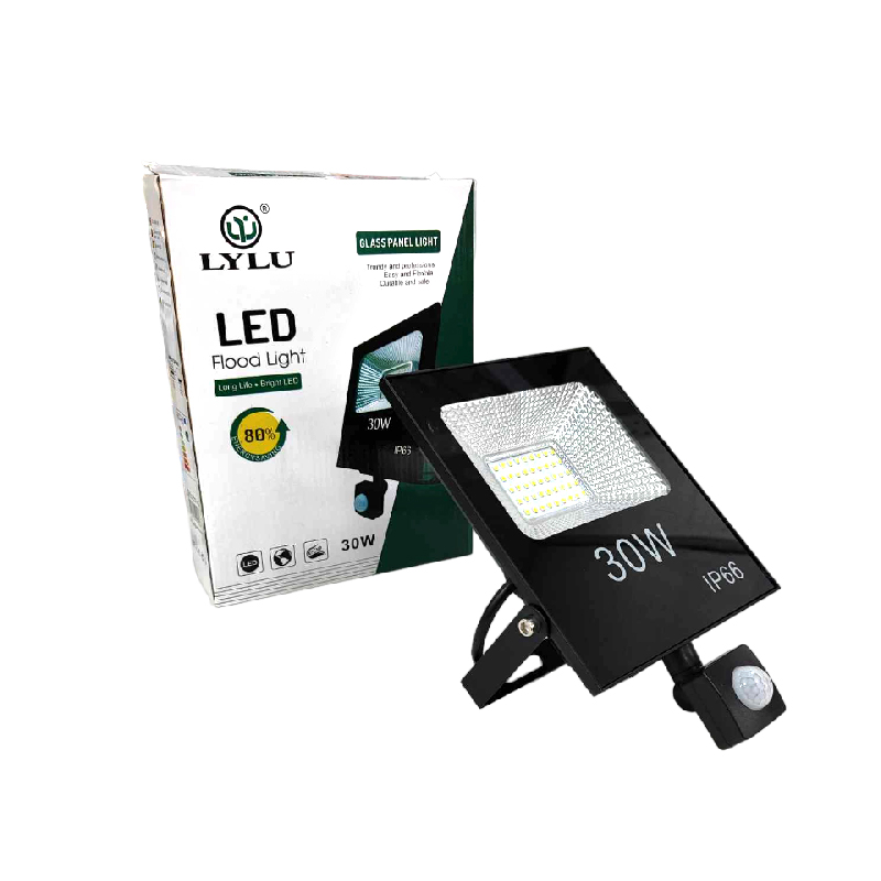 Lylu προβολέας 30W - LED flood light