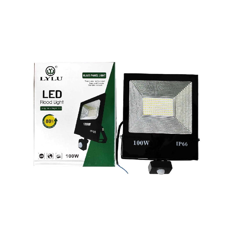 Lylu Προβολέας 100W - LED flood light