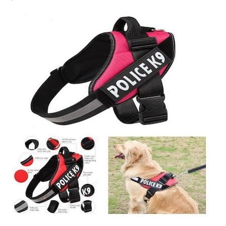 K9 - Σαμαράκι sκύλων