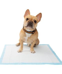 Πάνες για κατοικίδια 50τεμ. 45x60cm