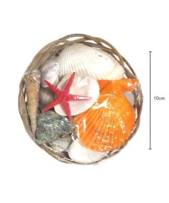 Διακοσμητικά κοχύλια σε καλαθάκι - Shell decoration