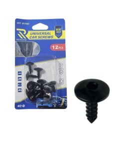Rchang Βίδες Αυτοκινήτου Universal W17669 – Σετ 12 Τεμαχίων - Car Screws