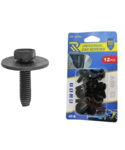 Rchang Βίδες Αυτοκινήτου Universal Εξάγωνες Με Ροδέλες W17669 Σετ 12τμχ 7509(J40) - Car Screws