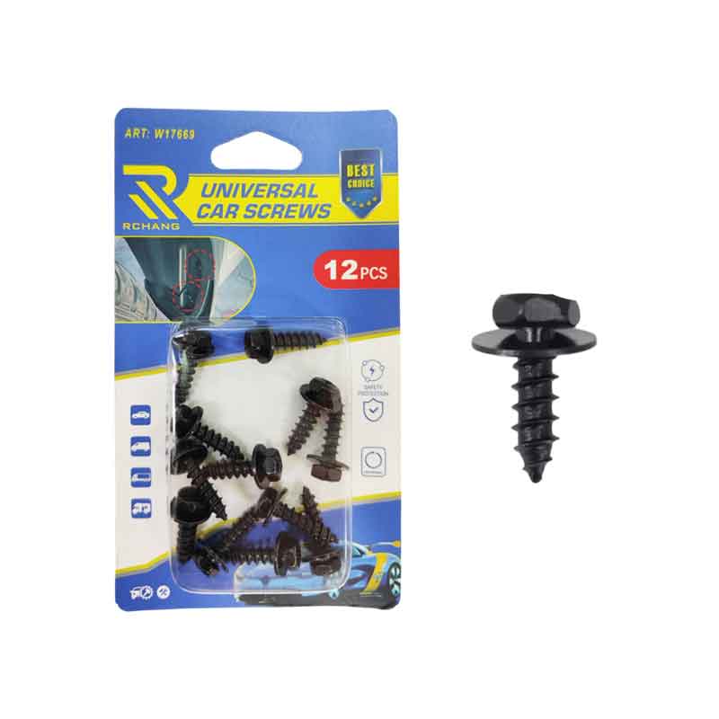 Rchang Βίδες Αυτοκινήτου Universal Εξάγωνες Με Ροδέλες W17669 Σετ 12τμχ 7514 - Car Screws
