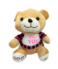 Λούτρινο Αρκουδάκι- Teddy Bear