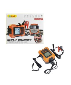 Andowl Φορτιστής Μπαταρίας Αυτοκινήτου 6V/12V/24V Q-DP1129 - Intelligent Pulse Repair Charger