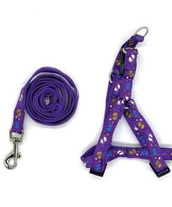 Λουρί σκύλου - Dog leash