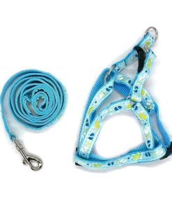 Λουρί σκύλου - Dog leash