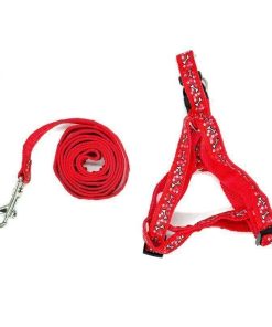 Λουρί σκύλου - Dog leash