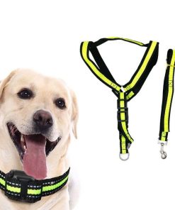 Λουρί σκύλου - Dog leash